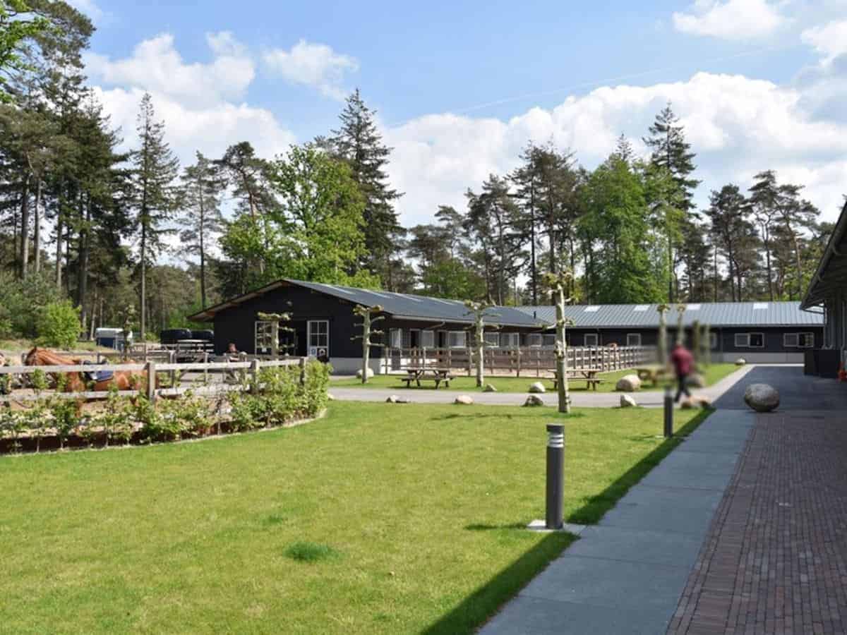 Exploitant gezocht voor de manege op een grote camping op de Veluwe
