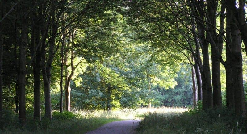 Te pacht: complete horeca op vakantiepark