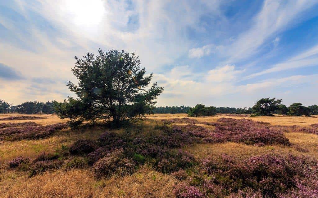 Veluwe | Hotel, Restaurant & Vergaderaccommodatie