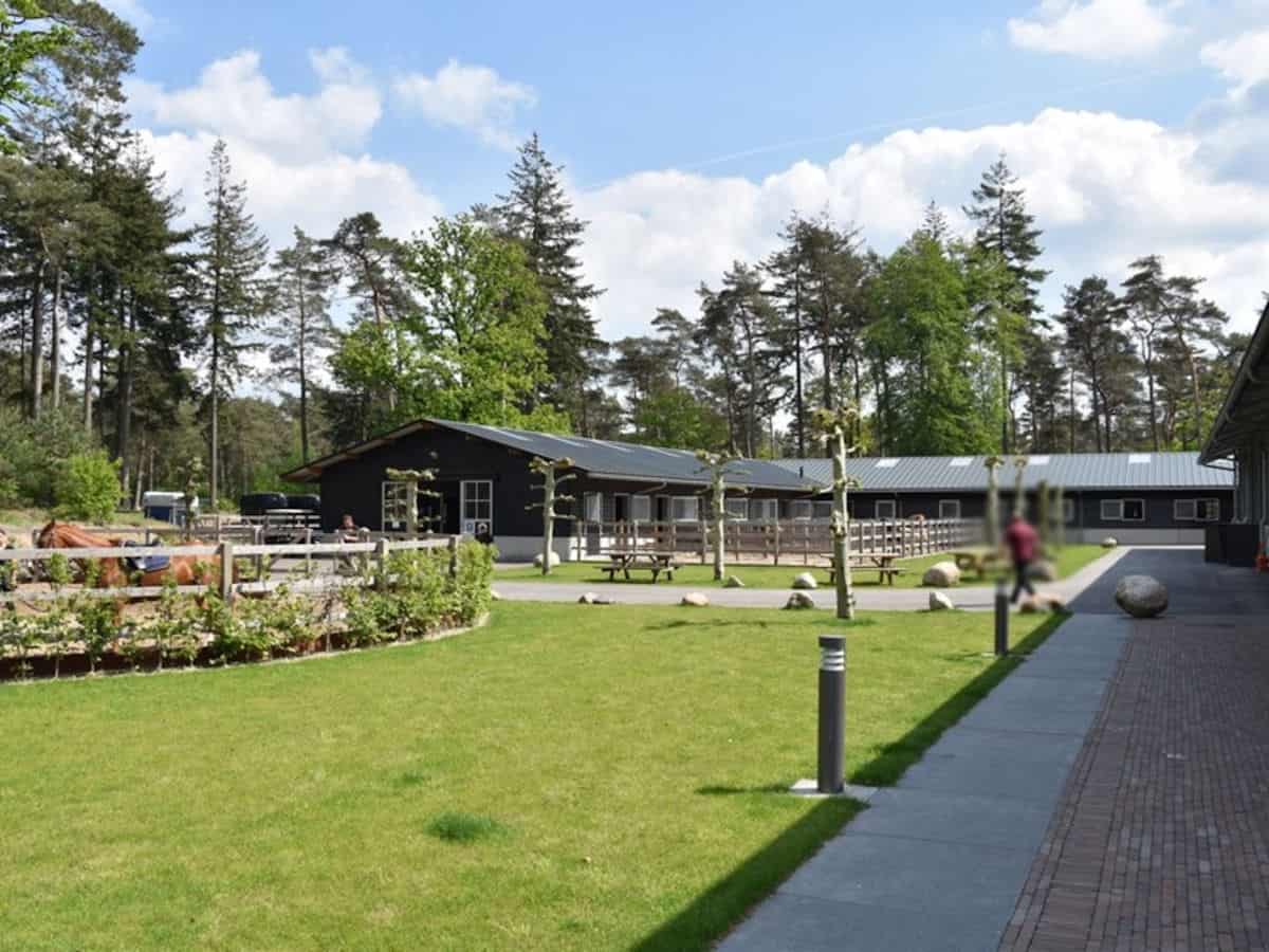 Exploitant gezocht voor de manege op een grote camping op de Veluwe