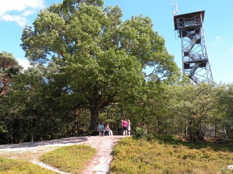 Ommen | Outdoor Leisurelocatie